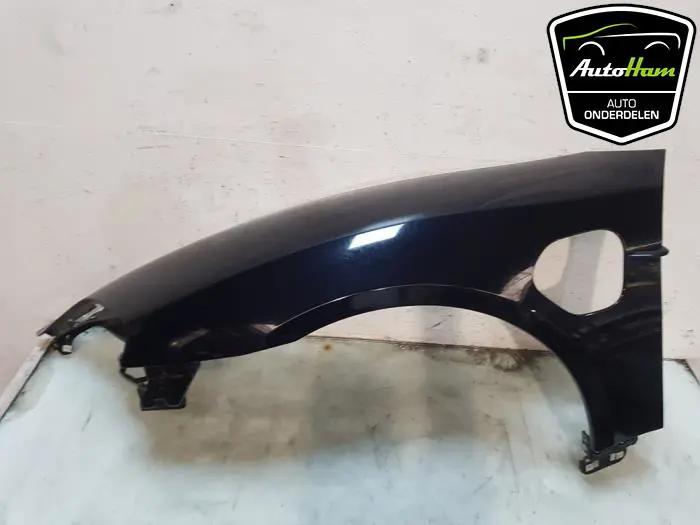 Scherm links-voor Porsche Taycan