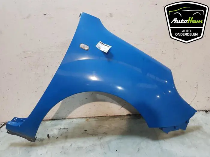 Scherm links-voor Renault Kangoo
