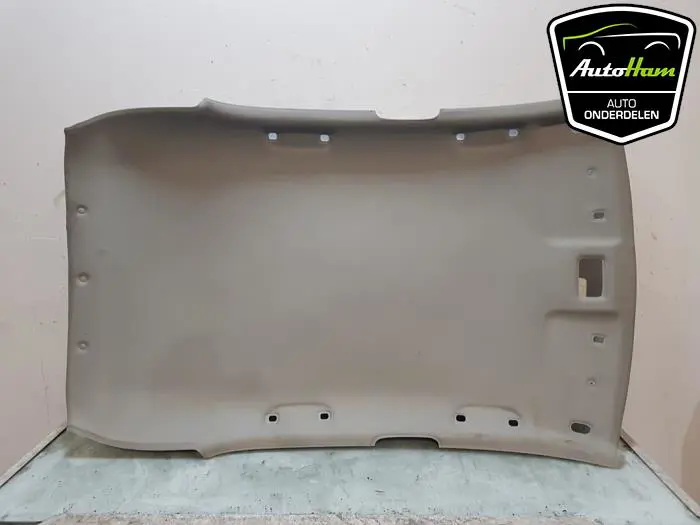 Hemelbekleding Kia Picanto