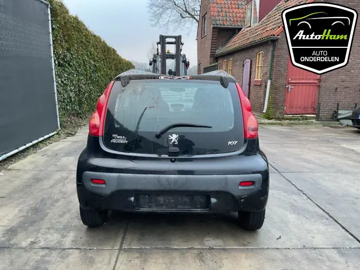 Achterklep Peugeot 107