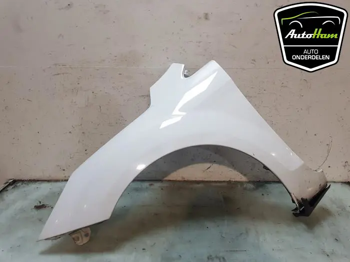 Scherm links-voor Ford Focus