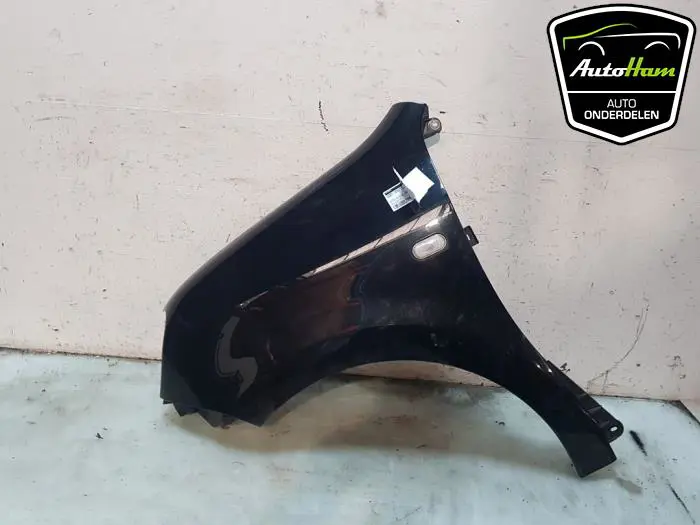 Scherm links-voor Renault Twingo