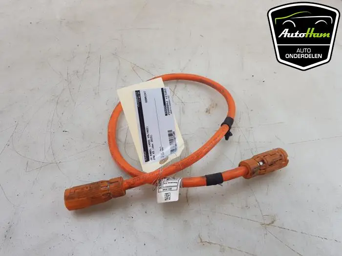 HV kabel (hoog voltage) BMW X5