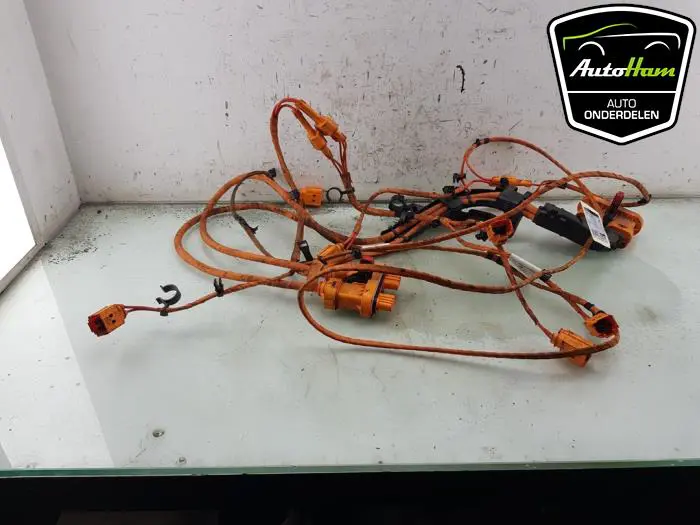 HV kabel (hoog voltage) Volkswagen ID.3
