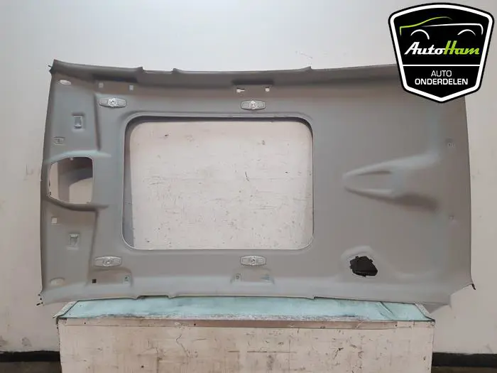 Hemelbekleding Ford S-Max