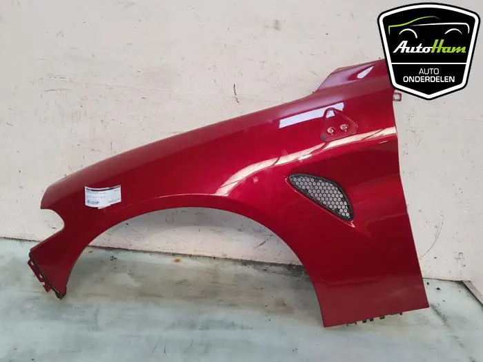 Scherm links-voor Alfa Romeo Giulia