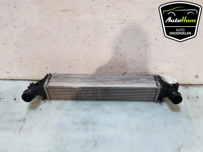 Intercooler Opel Astra