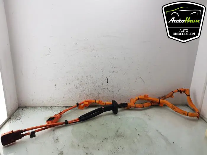 HV kabel (hoog voltage) BMW X5