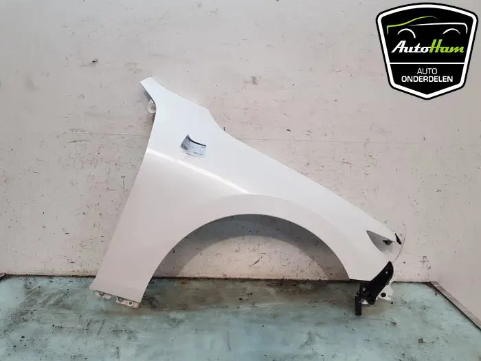 Scherm rechts-voor Mazda 3.