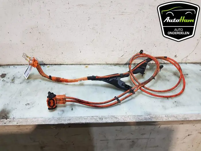 HV kabel (hoog voltage) Volkswagen Golf