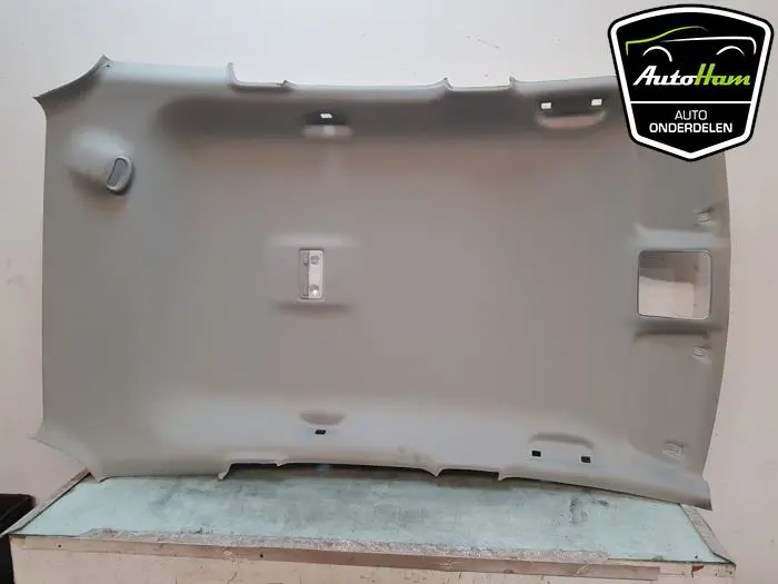 Hemelbekleding Opel Meriva
