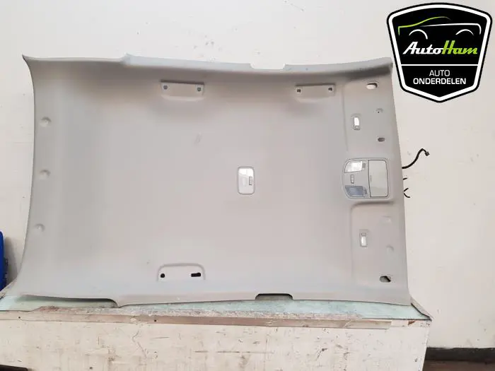 Hemelbekleding Kia Stonic
