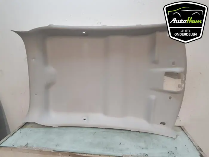 Hemelbekleding Citroen C3