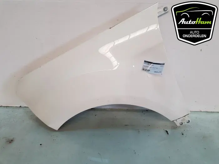 Scherm links-voor Ford Ecosport