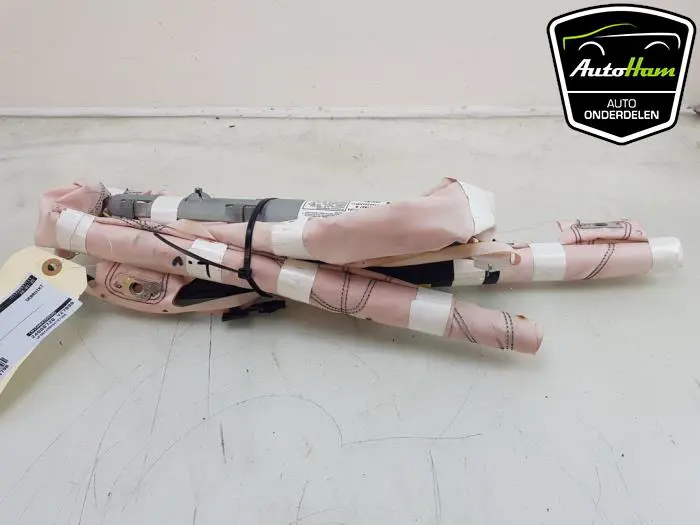 Airbag hemel links Ford Ecosport