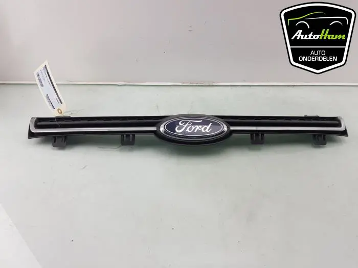 Grille Ford Ecosport