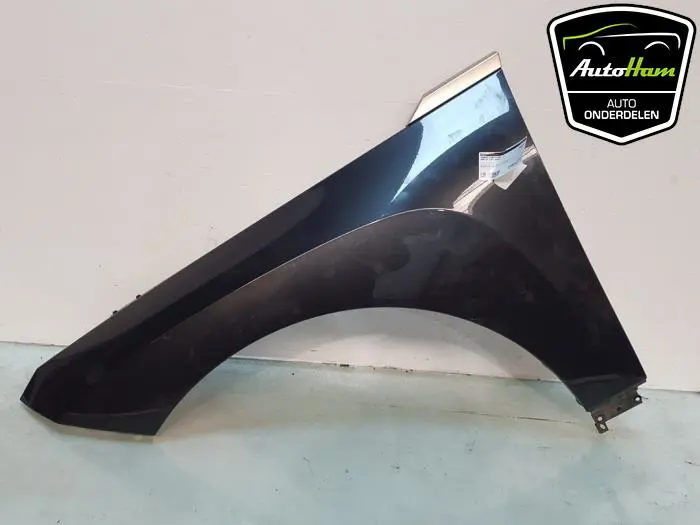 Scherm links-voor BMW IX