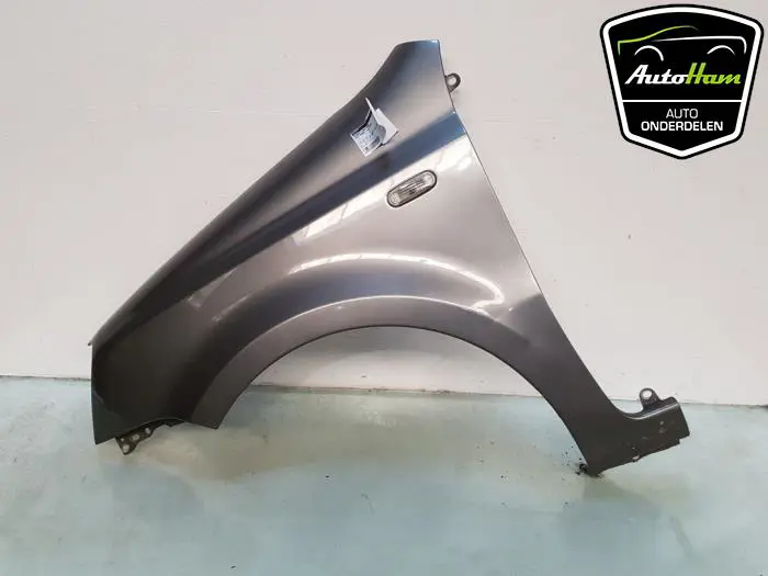 Scherm links-voor Fiat Panda