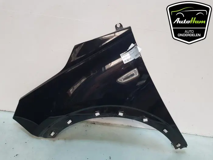 Scherm links-voor Opel Crossland X