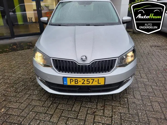 Motorkap Skoda Fabia