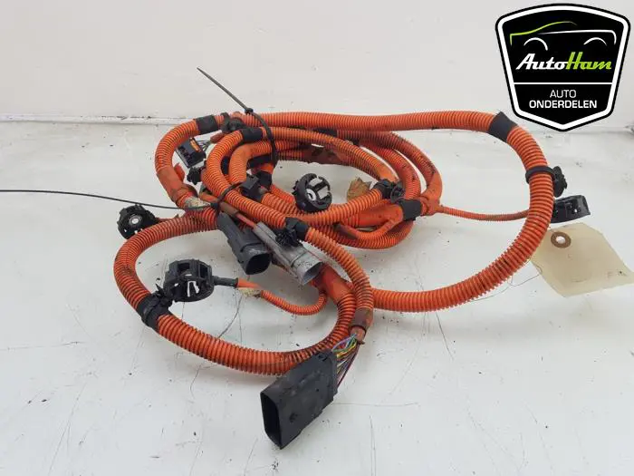 HV kabel (hoog voltage) Peugeot 208