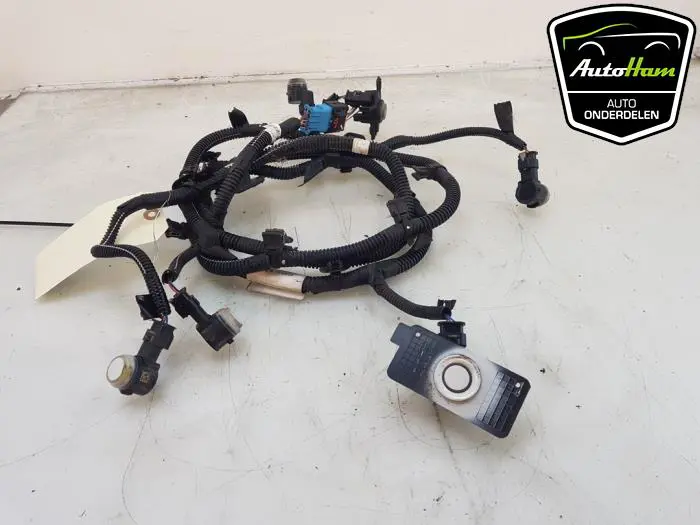 PDC Sensor Set Peugeot 208