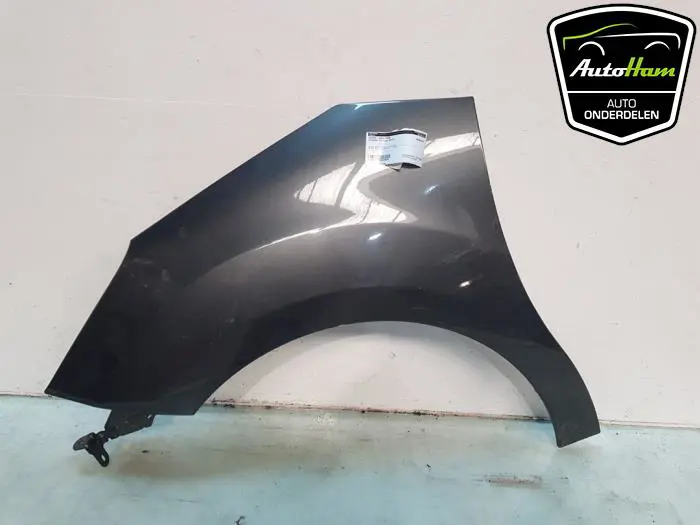Scherm links-voor Citroen C3