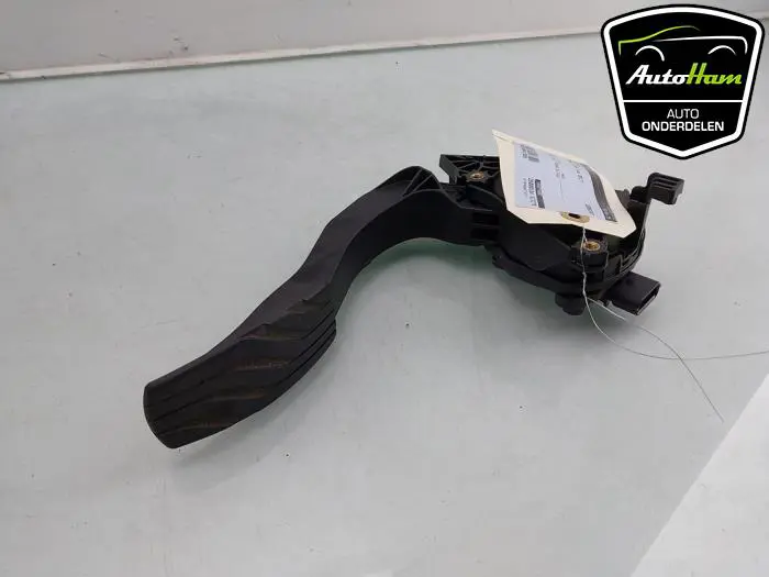 Gaspedaal Renault Scenic
