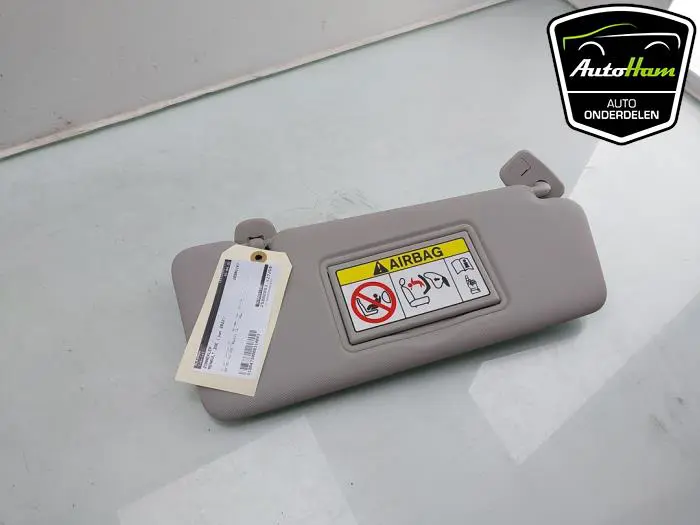 Zonneklep Renault ZOE