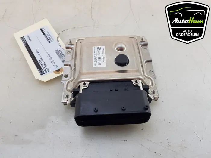 Adblue Computer Ford Transit Connect