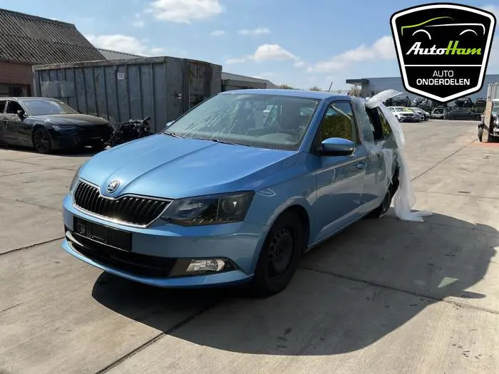 Scherm links-voor Skoda Fabia