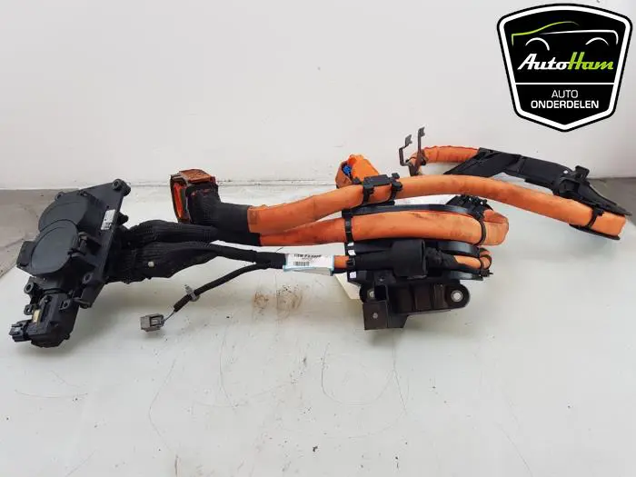 HV kabel (hoog voltage) Renault ZOE