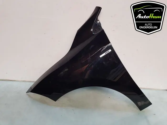 Scherm links-voor Renault Megane