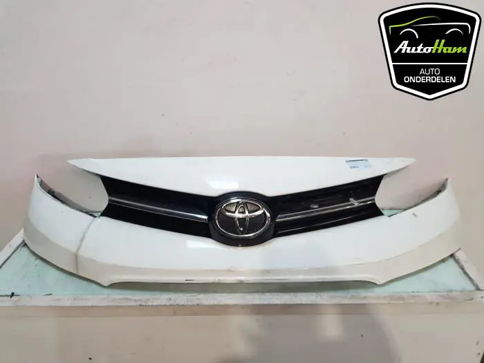 Grille Toyota Pro-Ace