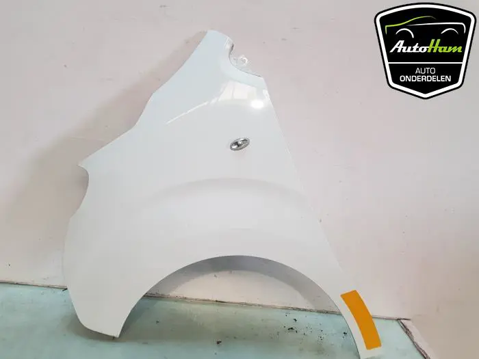 Scherm links-voor Toyota Pro-Ace