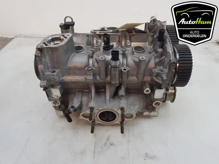 Cilinderkop Skoda Scala