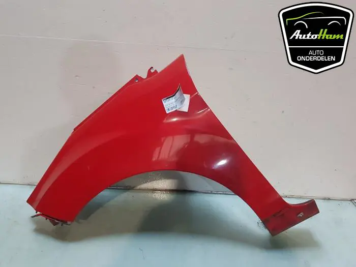 Scherm links-voor Ford Fiesta