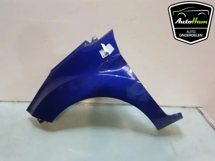 Scherm links-voor Ford Fiesta