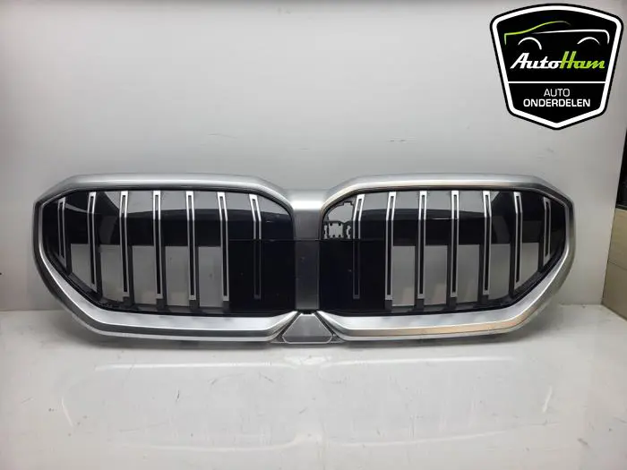 Grille BMW 5-Serie
