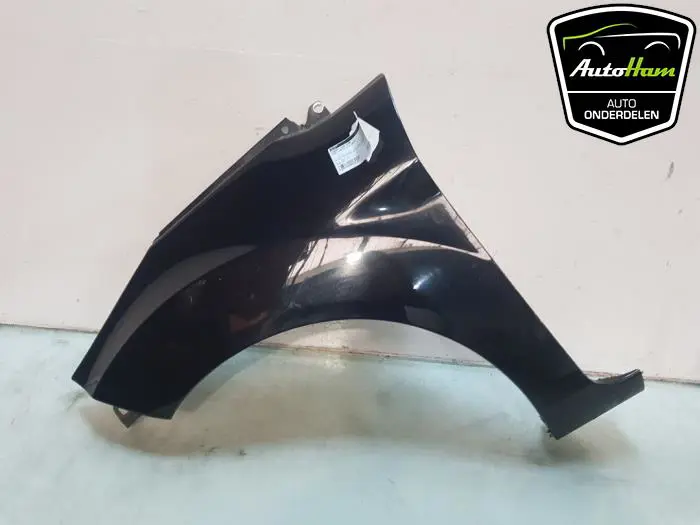 Scherm links-voor Ford Fiesta