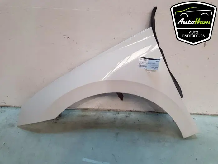 Scherm links-voor Skoda Scala