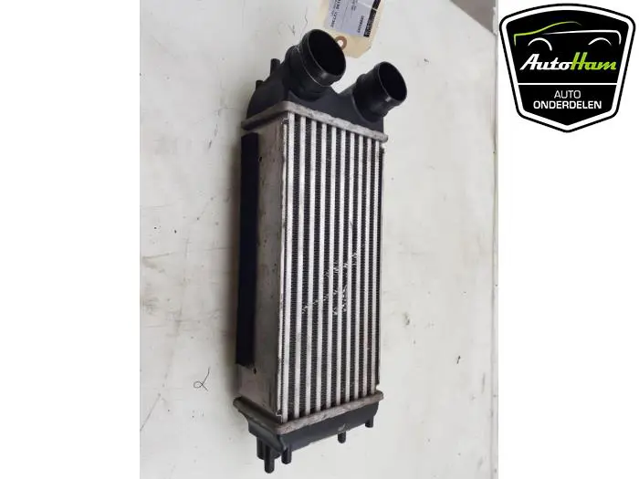 Intercooler Ford Fiesta