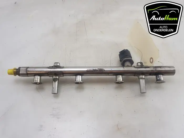 Galerij (Injectie) Volkswagen Golf