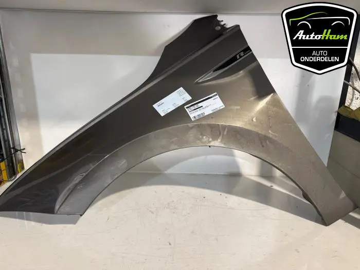 Scherm links-voor Volkswagen Polo