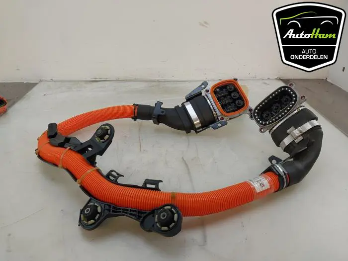 HV kabel (hoog voltage) BMW 3-Serie