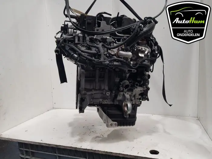 Motor Ford Transit Connect