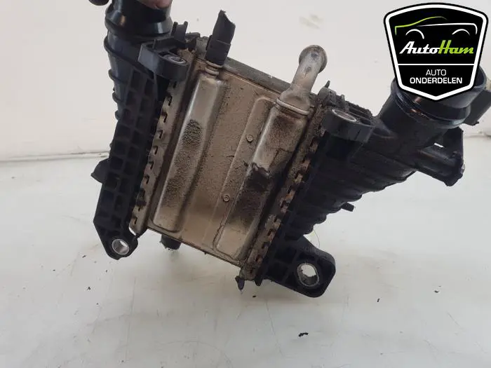 Intercooler Renault Kangoo