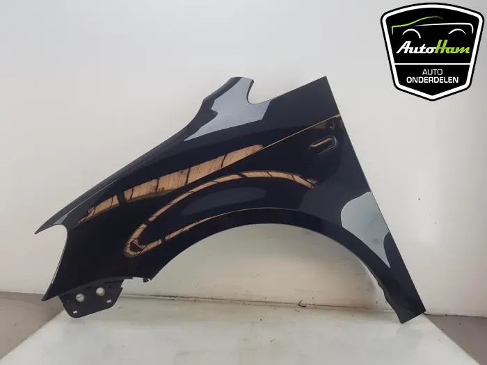 Scherm links-voor Volkswagen Caddy