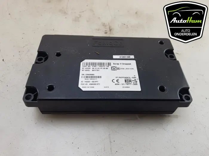 Gateway module Ford Fiesta