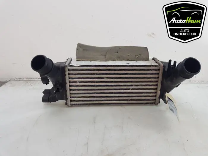 Intercooler Ford Fiesta